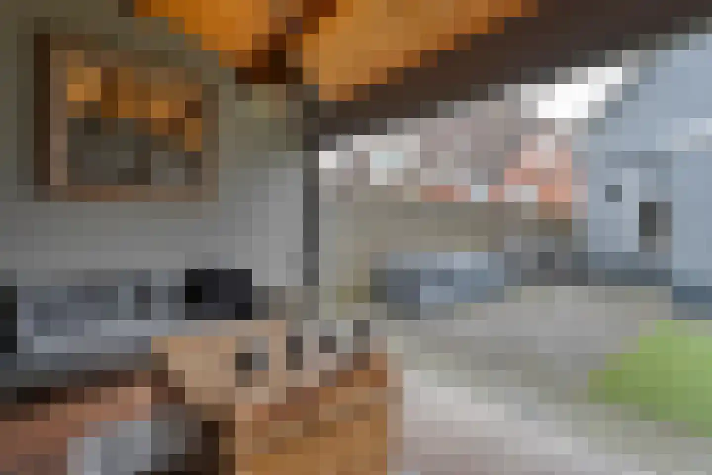 Aduarderdiepsterweg 3 Groningen thumbnail 39