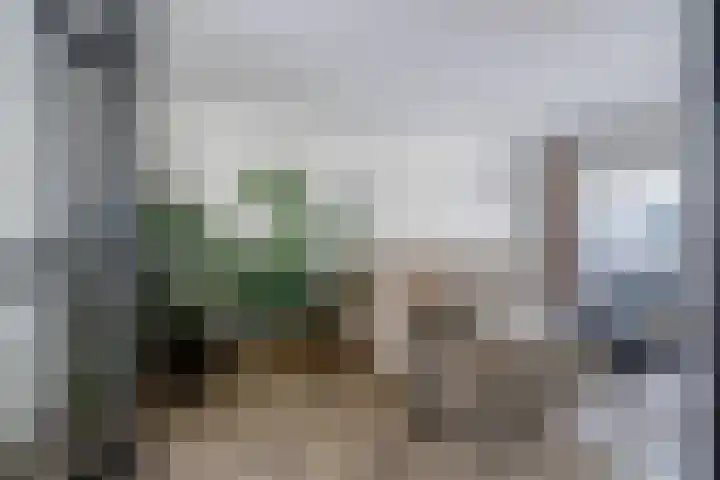 Aduardstraat 34 Arnhem thumbnail 4