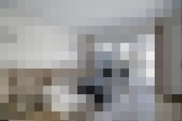 Aduardstraat 34 Arnhem thumbnail 6