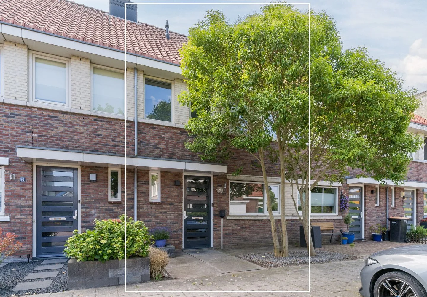 Advocaatpeer 8 in Winkel
