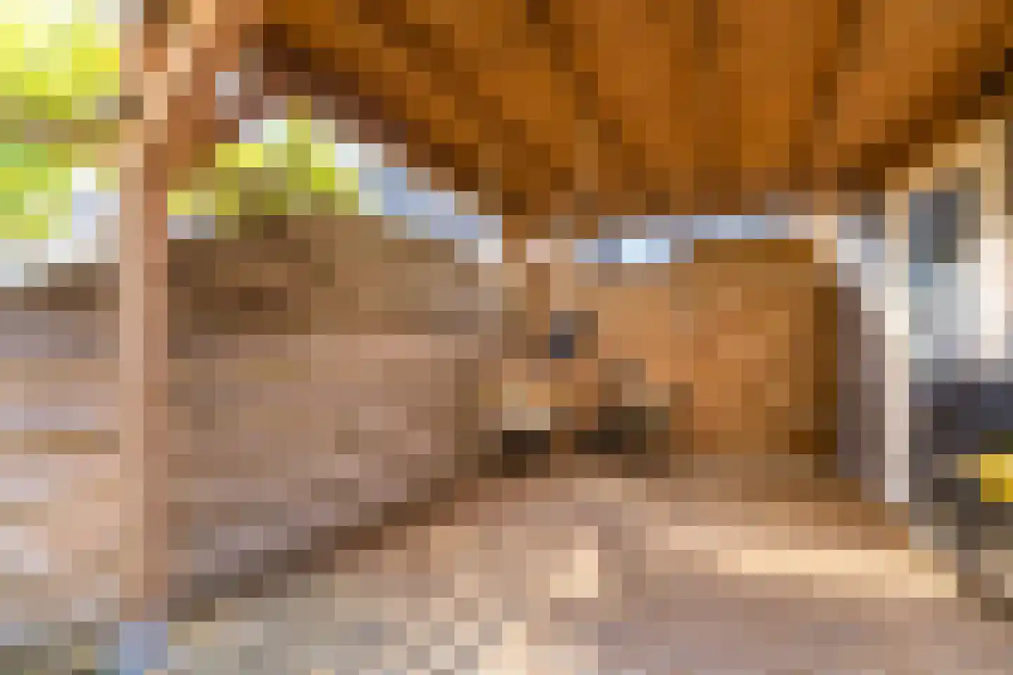 Advocaatpeer 8 Winkel thumbnail 35