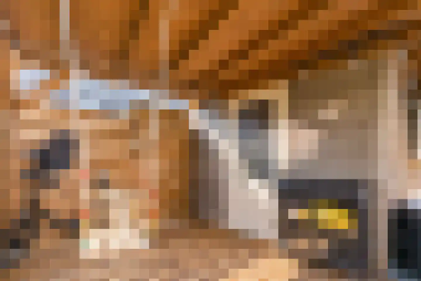 Advocaatpeer 8 Winkel thumbnail 36
