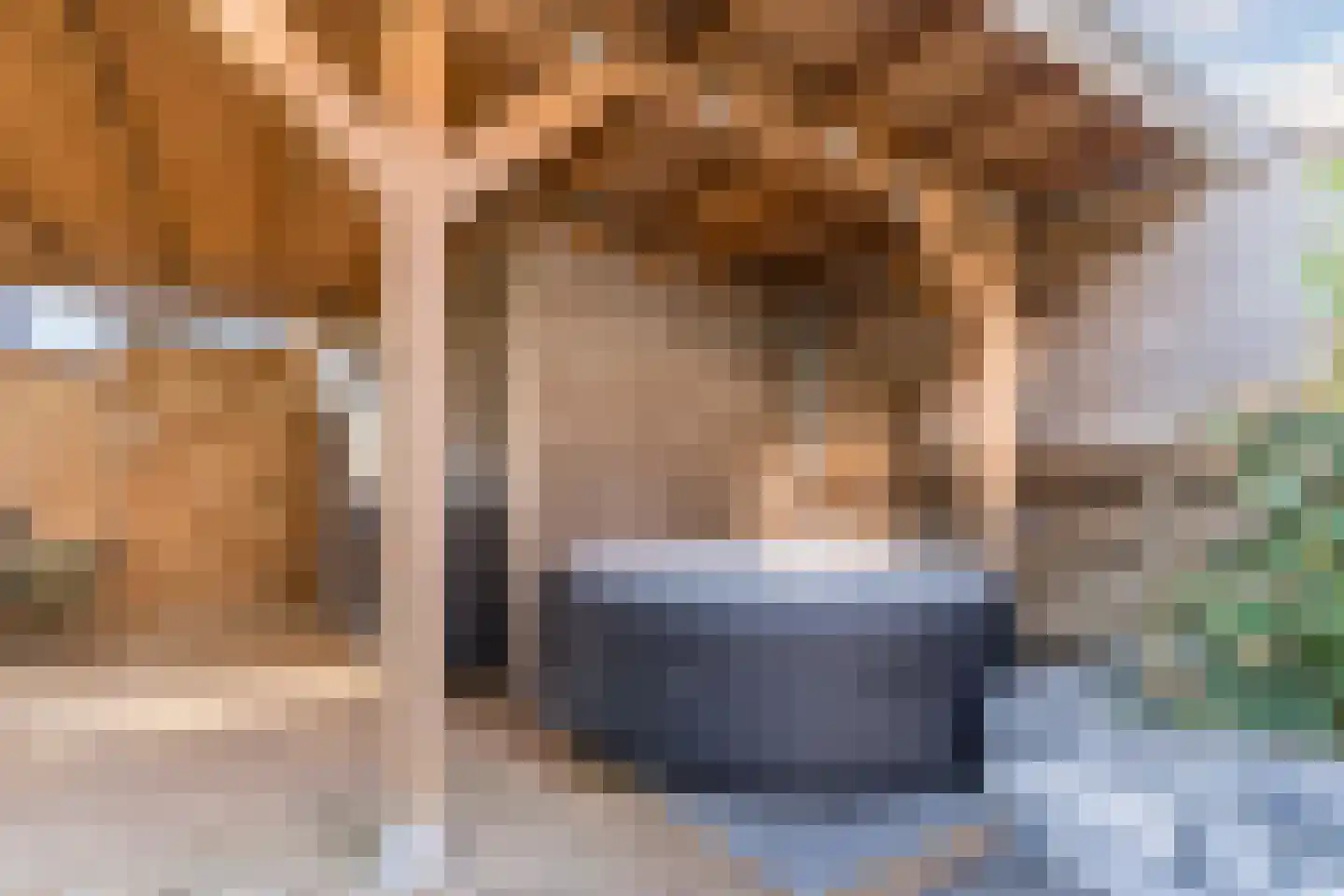 Advocaatpeer 8 Winkel thumbnail 37