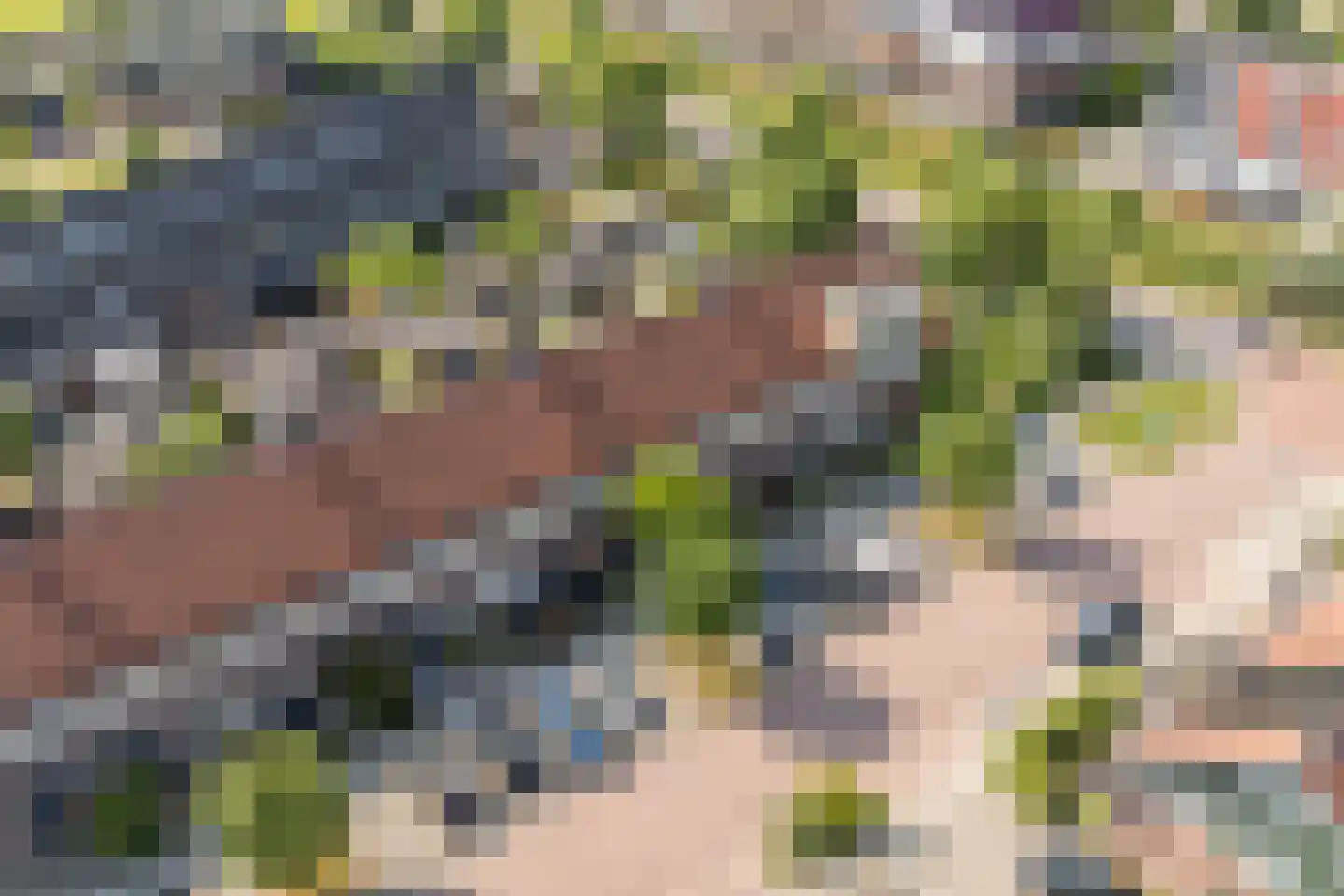 Advocaatpeer 8 Winkel thumbnail 39