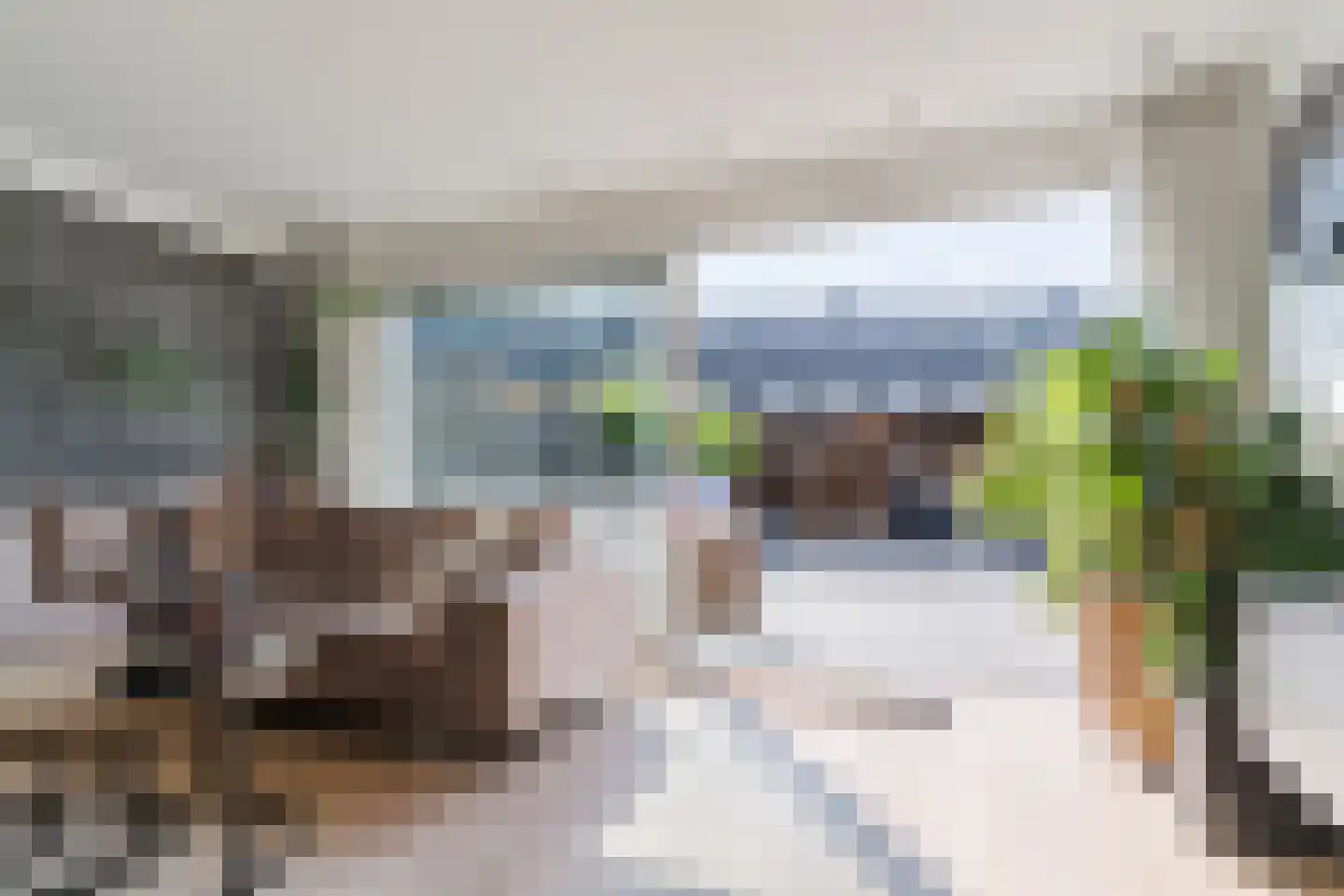 Advocaatpeer 8 Winkel thumbnail 4