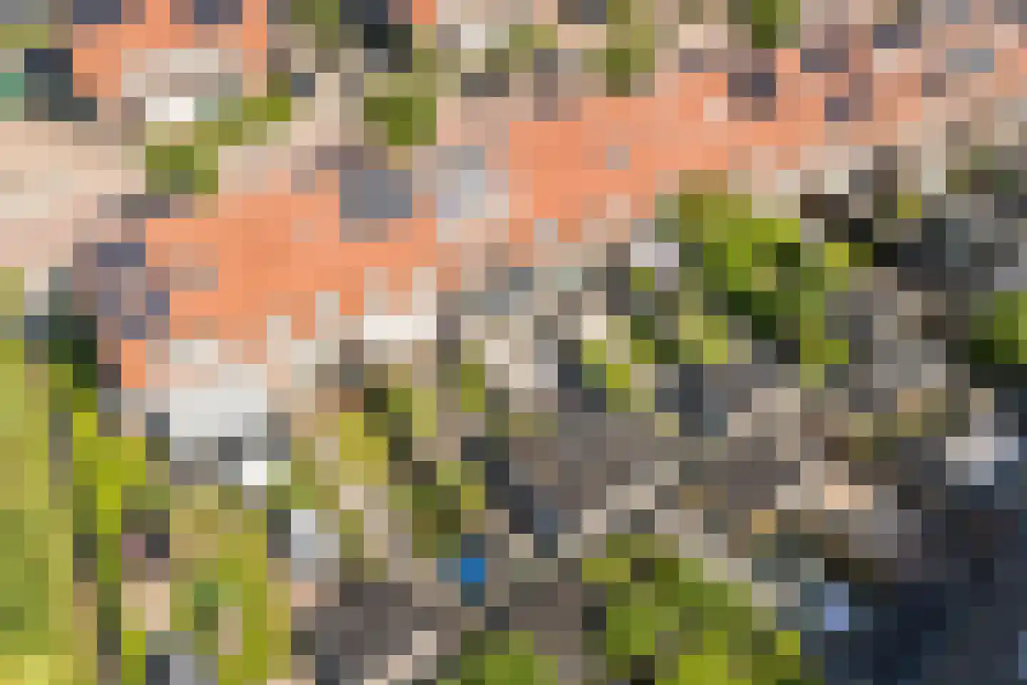 Advocaatpeer 8 Winkel thumbnail 40