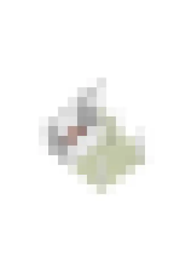 Advocaatpeer 8 Winkel thumbnail 47
