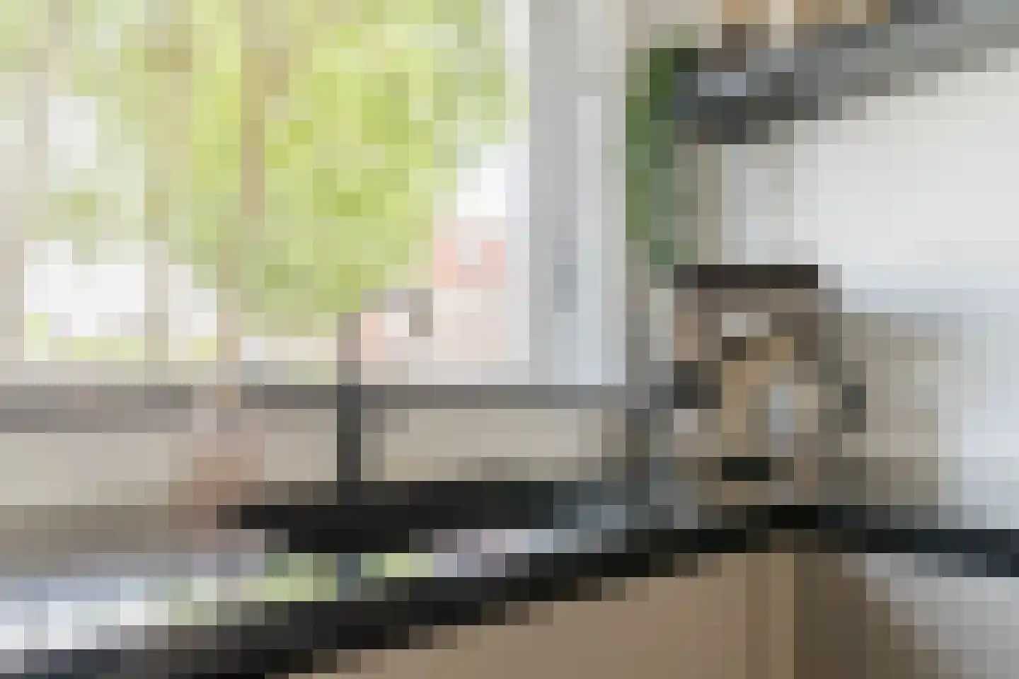 Advocaatpeer 8 Winkel thumbnail 8