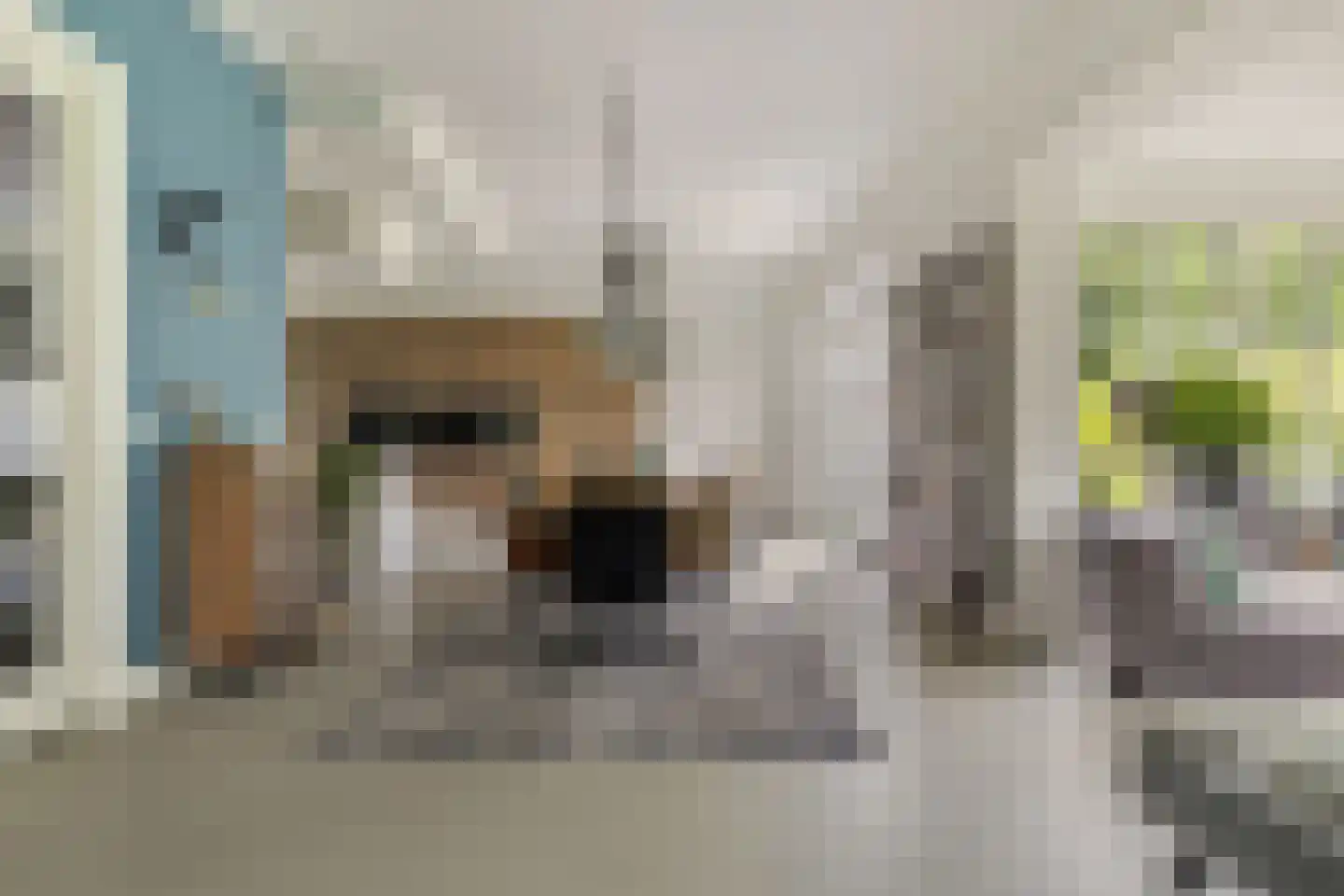 Advocaatsdreef 13 Breda thumbnail 12