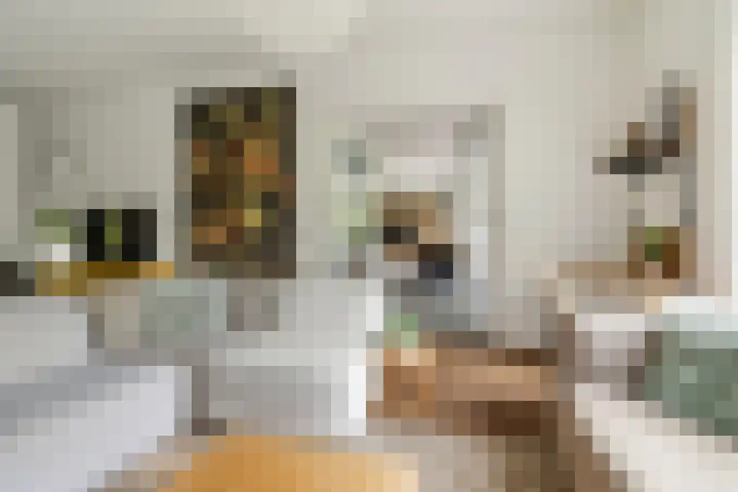 Advocaatsdreef 13 Breda thumbnail 14