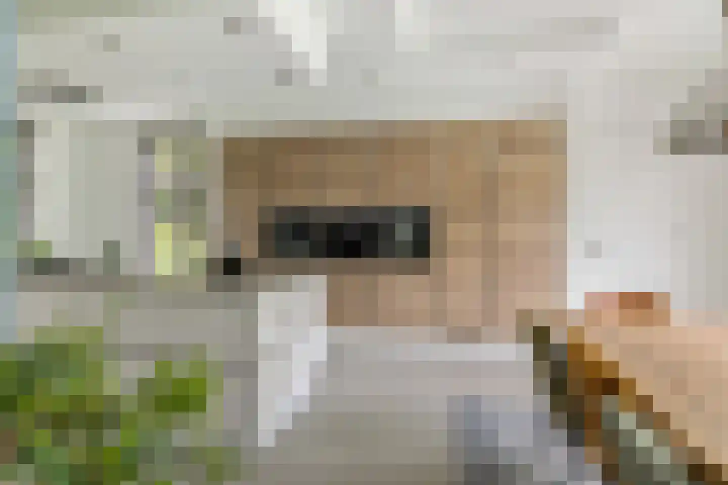 Advocaatsdreef 13 Breda thumbnail 21