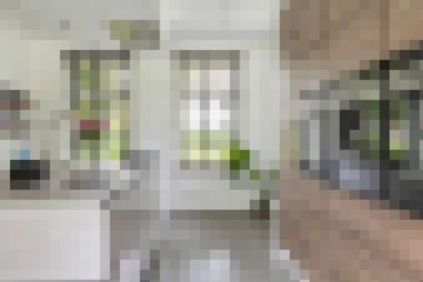 Advocaatsdreef 13 Breda thumbnail 22