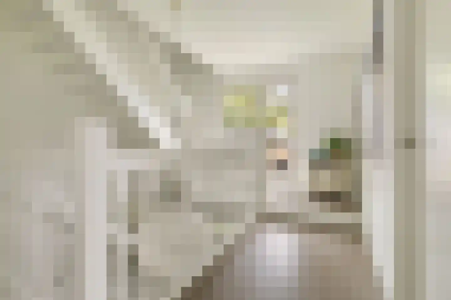 Advocaatsdreef 13 Breda thumbnail 25