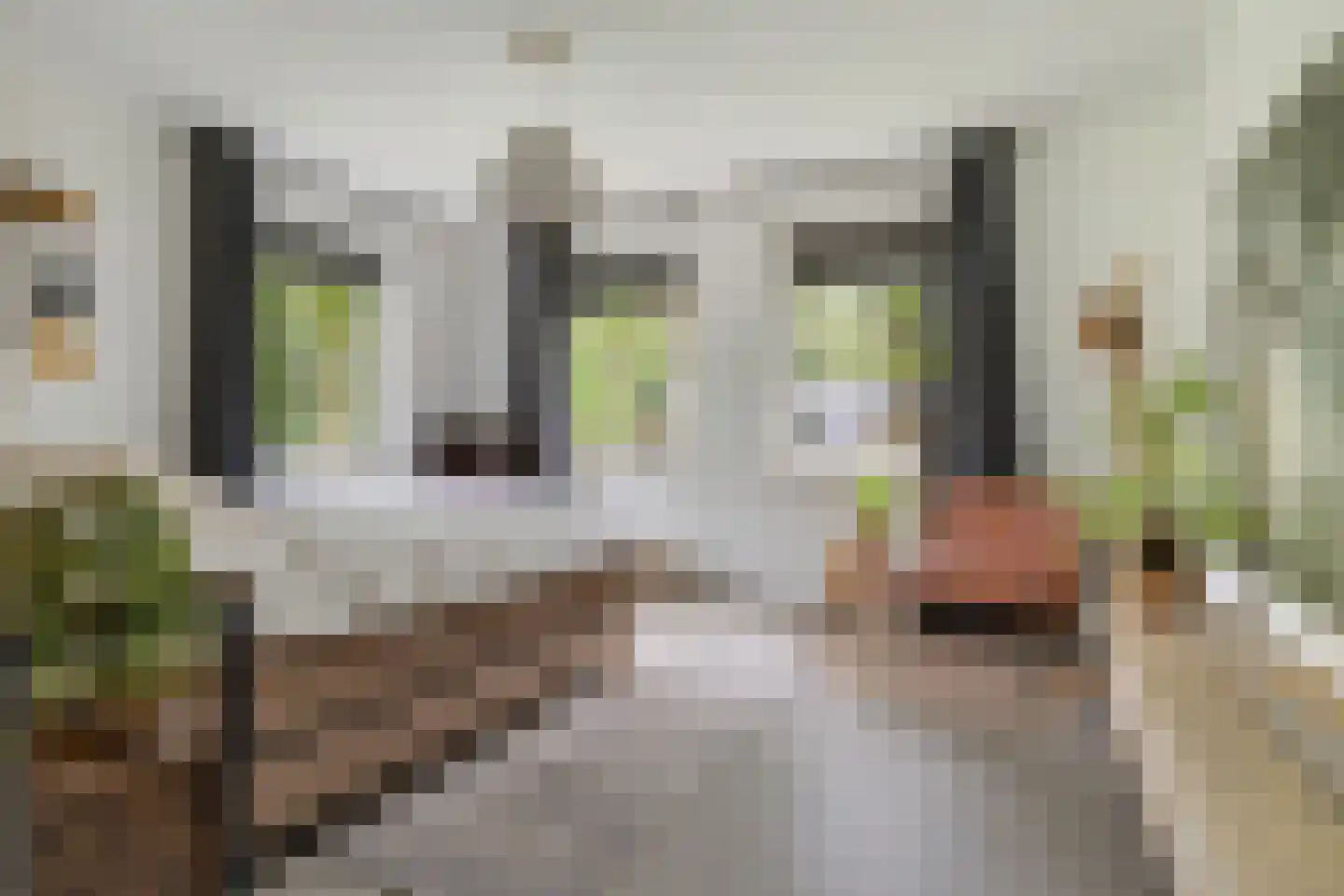 Advocaatsdreef 13 Breda thumbnail 26