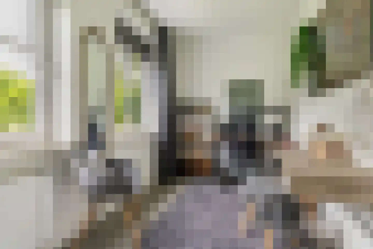 Advocaatsdreef 13 Breda thumbnail 29