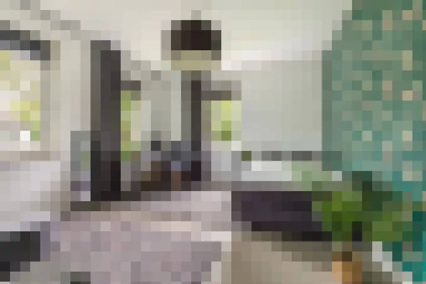 Advocaatsdreef 13 Breda thumbnail 32