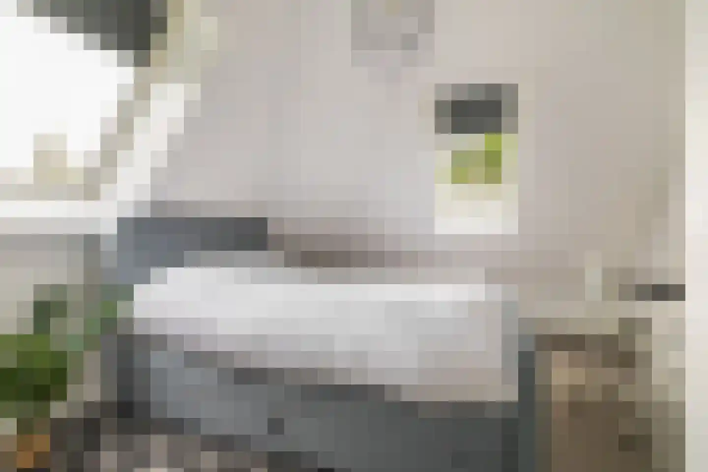 Advocaatsdreef 13 Breda thumbnail 37