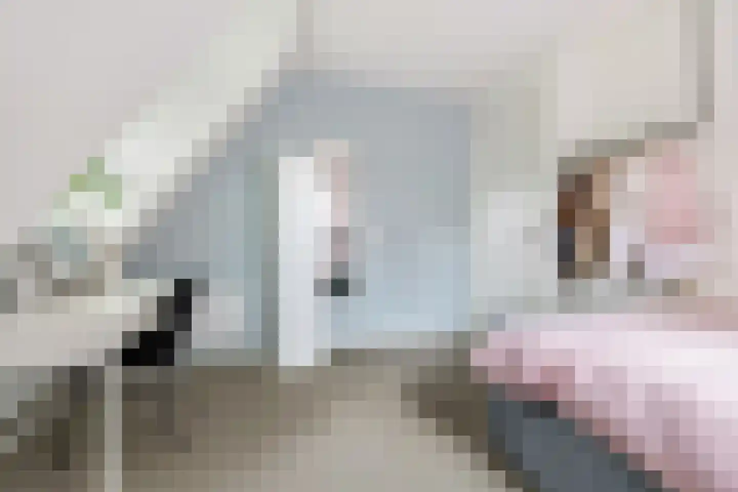 Advocaatsdreef 13 Breda thumbnail 39