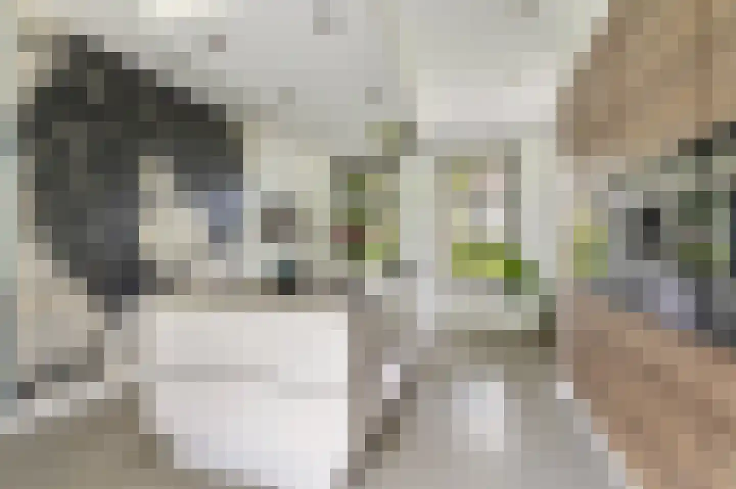 Advocaatsdreef 13 Breda thumbnail 4