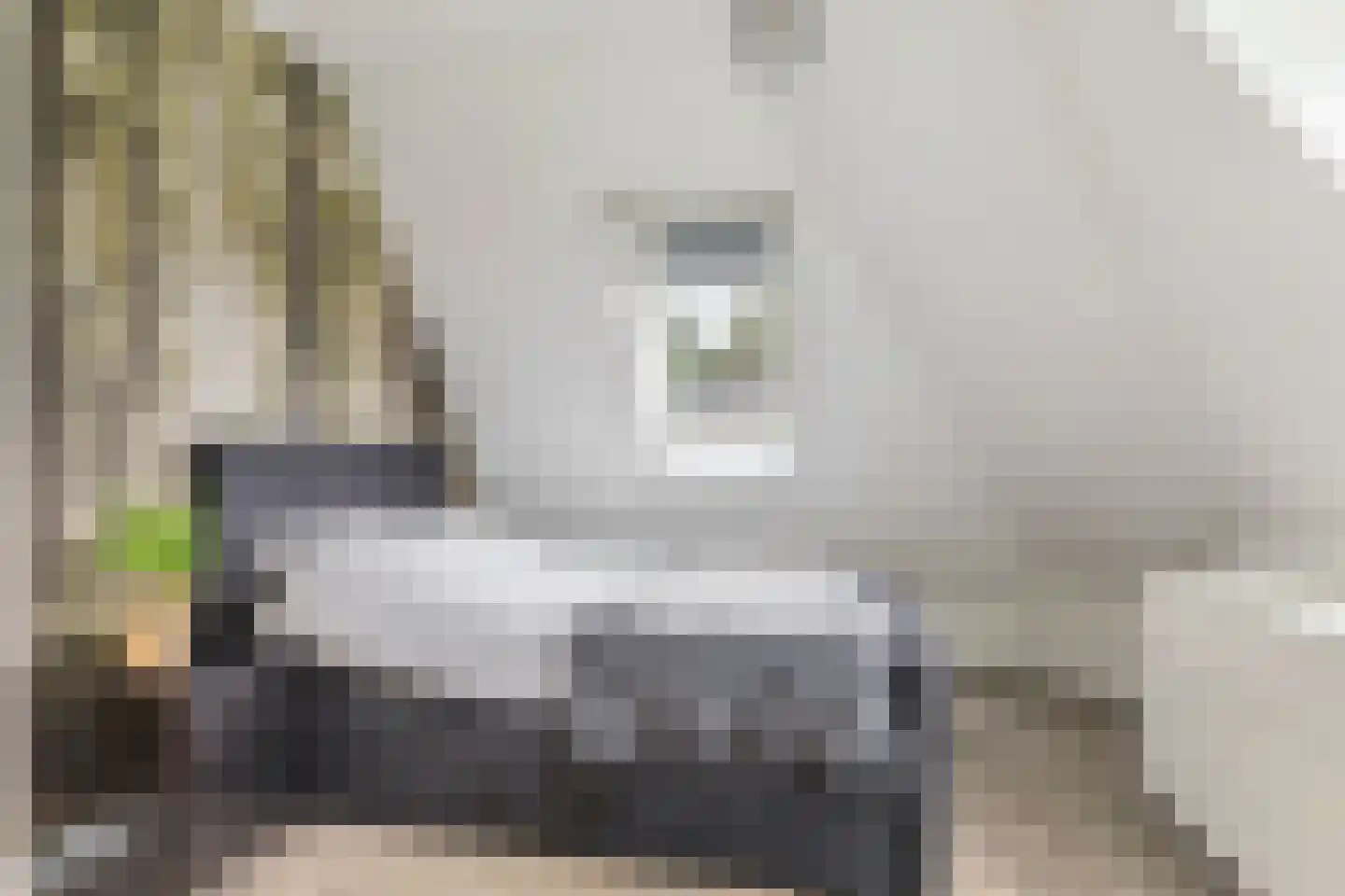 Advocaatsdreef 13 Breda thumbnail 43