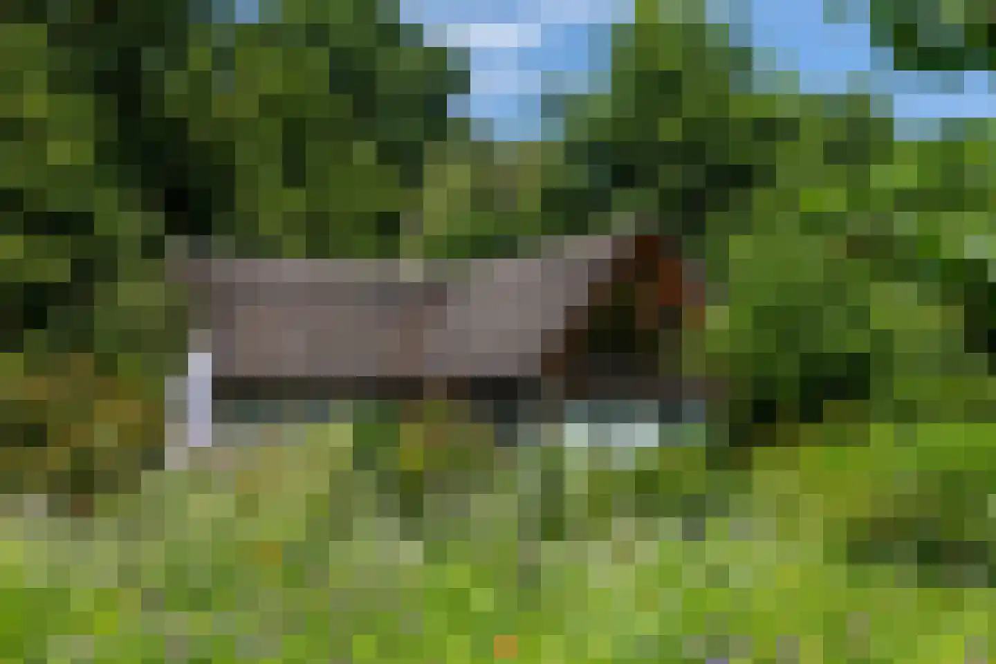 Advocaatsdreef 13 Breda thumbnail 44