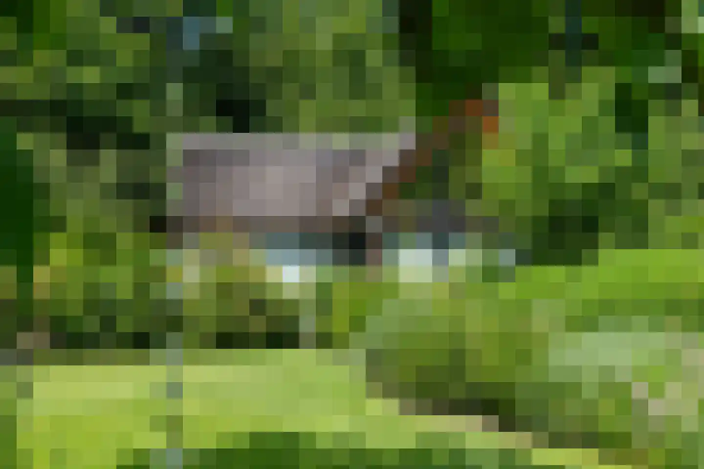 Advocaatsdreef 13 Breda thumbnail 45