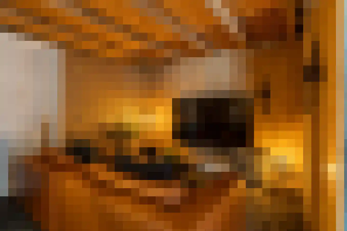 Advocaatsdreef 13 Breda thumbnail 50