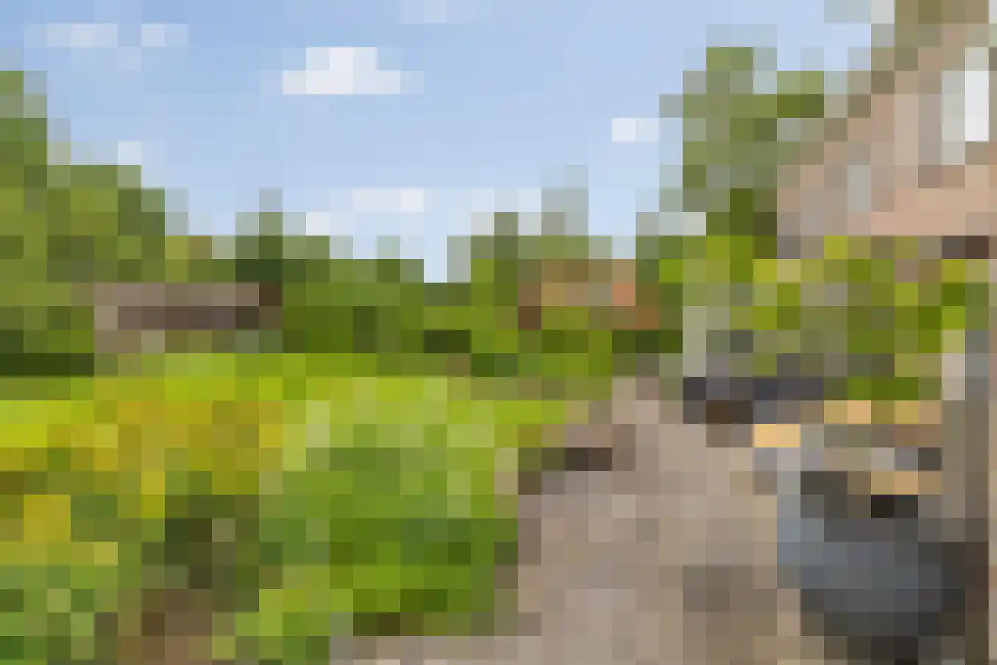 Advocaatsdreef 13 Breda thumbnail 62