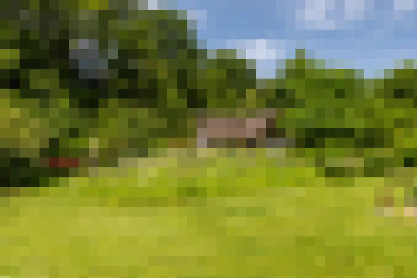 Advocaatsdreef 13 Breda thumbnail 64