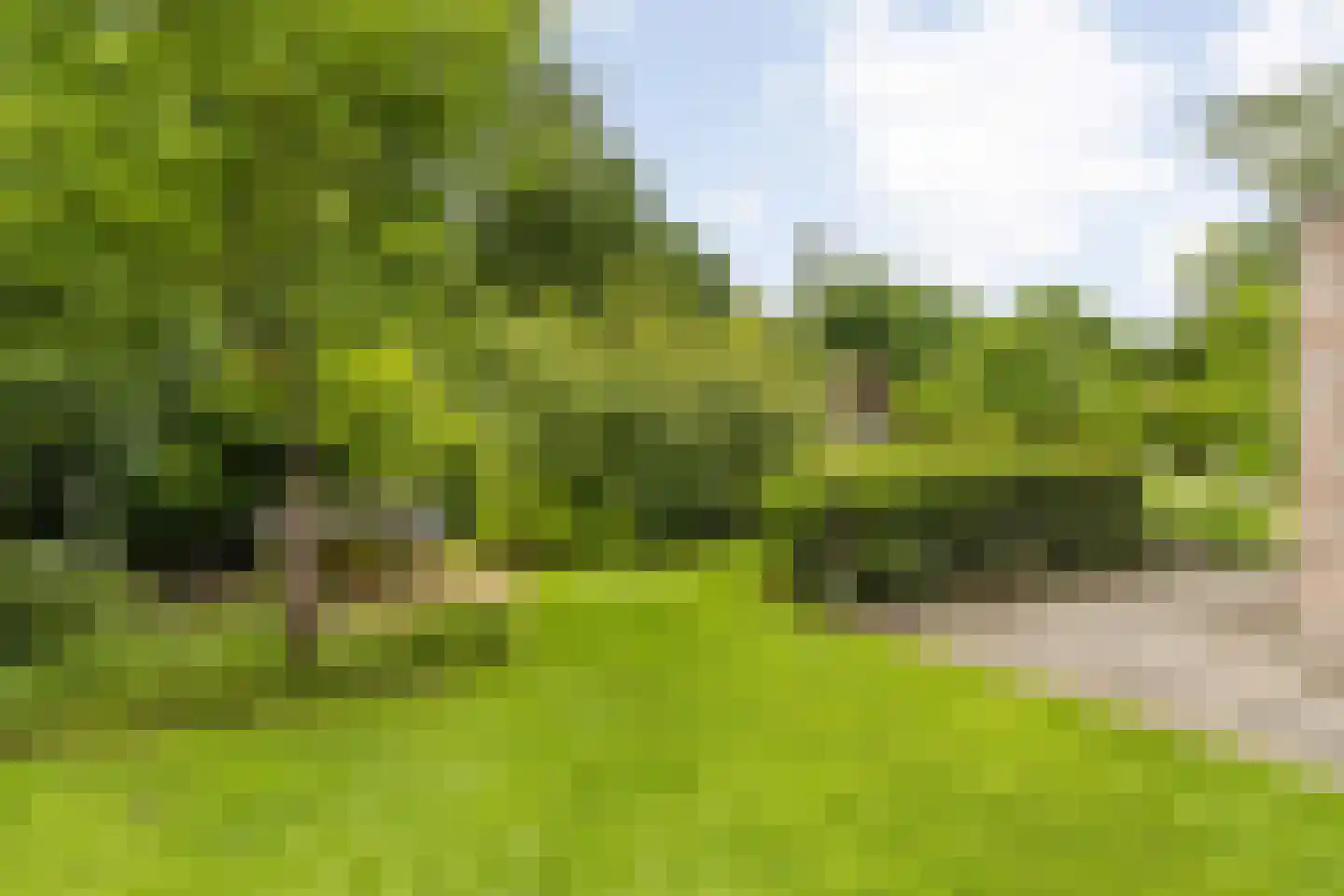 Advocaatsdreef 13 Breda thumbnail 65