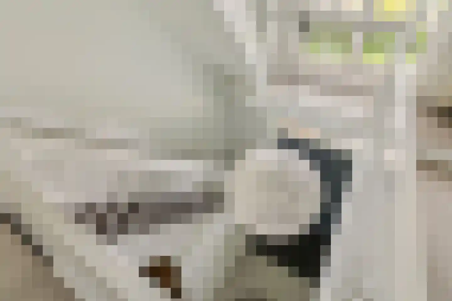 Advocaatsdreef 13 Breda thumbnail 9