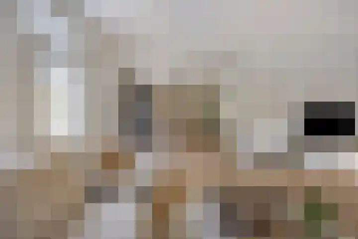 Advocatenhof 19 Bosschenhoofd thumbnail 10