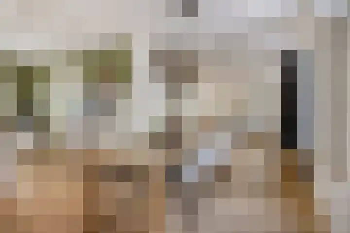Advocatenhof 19 Bosschenhoofd thumbnail 11