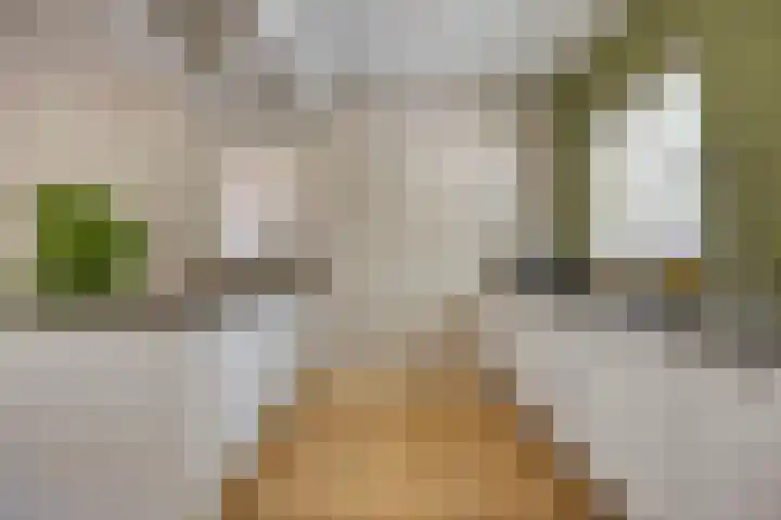 Advocatenhof 19 Bosschenhoofd thumbnail 14