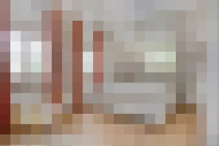 Advocatenhof 19 Bosschenhoofd thumbnail 19