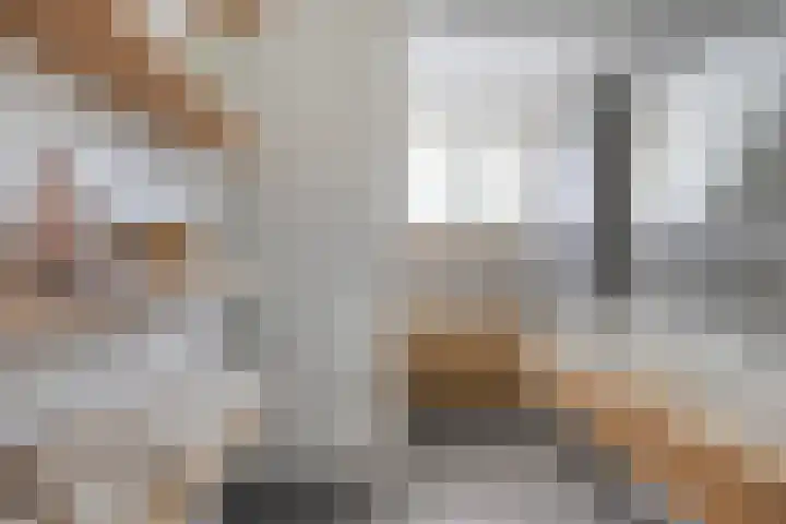 Advocatenhof 19 Bosschenhoofd thumbnail 21
