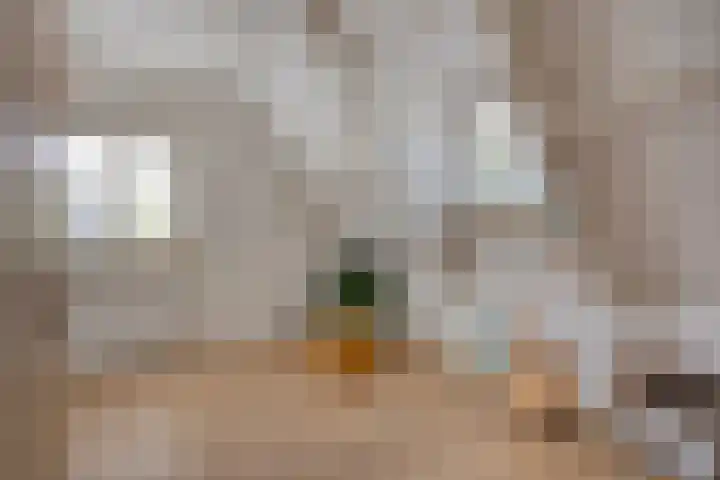 Advocatenhof 19 Bosschenhoofd thumbnail 23