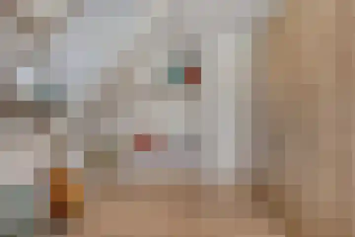 Advocatenhof 19 Bosschenhoofd thumbnail 24
