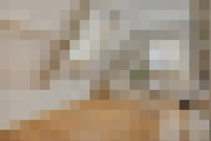 Advocatenhof 19 Bosschenhoofd thumbnail 25