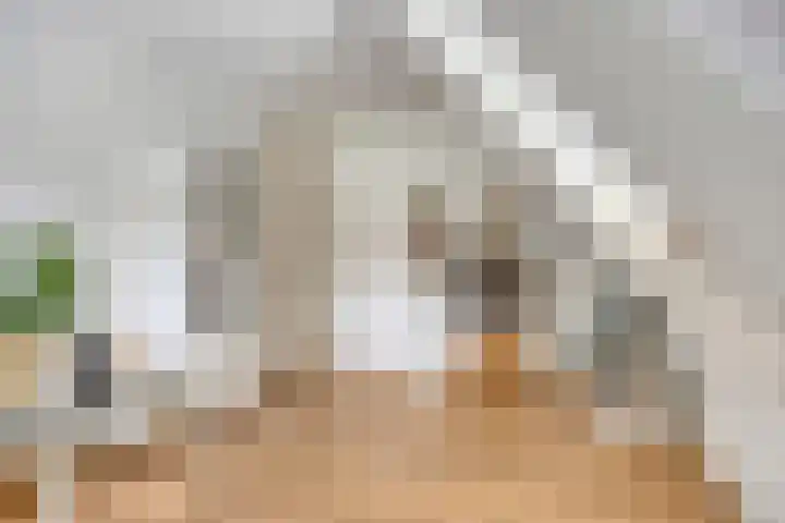 Advocatenhof 19 Bosschenhoofd thumbnail 26