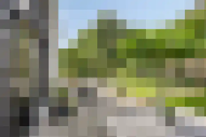 Advocatenhof 19 Bosschenhoofd thumbnail 28