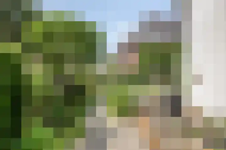 Advocatenhof 19 Bosschenhoofd thumbnail 31