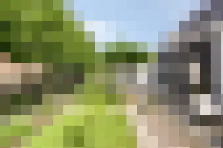 Advocatenhof 19 Bosschenhoofd thumbnail 32