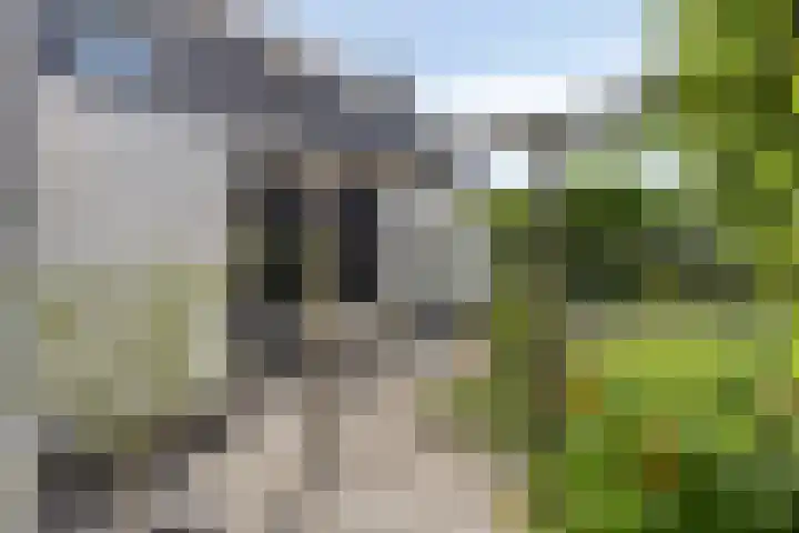 Advocatenhof 19 Bosschenhoofd thumbnail 34