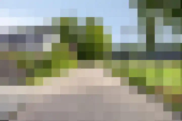 Advocatenhof 19 Bosschenhoofd thumbnail 36