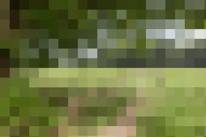 Advocatenhof 19 Bosschenhoofd thumbnail 37