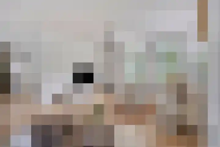 Advocatenhof 19 Bosschenhoofd thumbnail 8