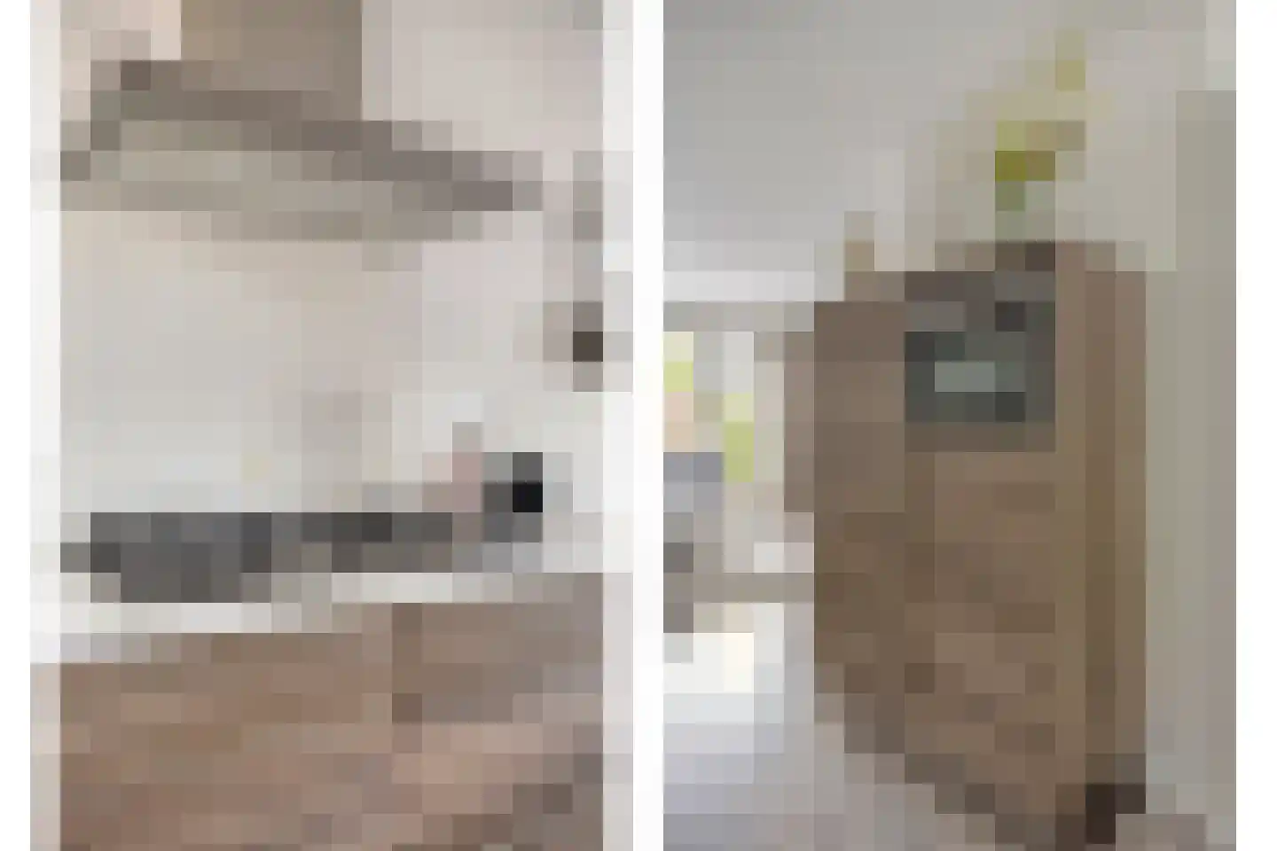 Advocatenhof 5 Bosschenhoofd thumbnail 10