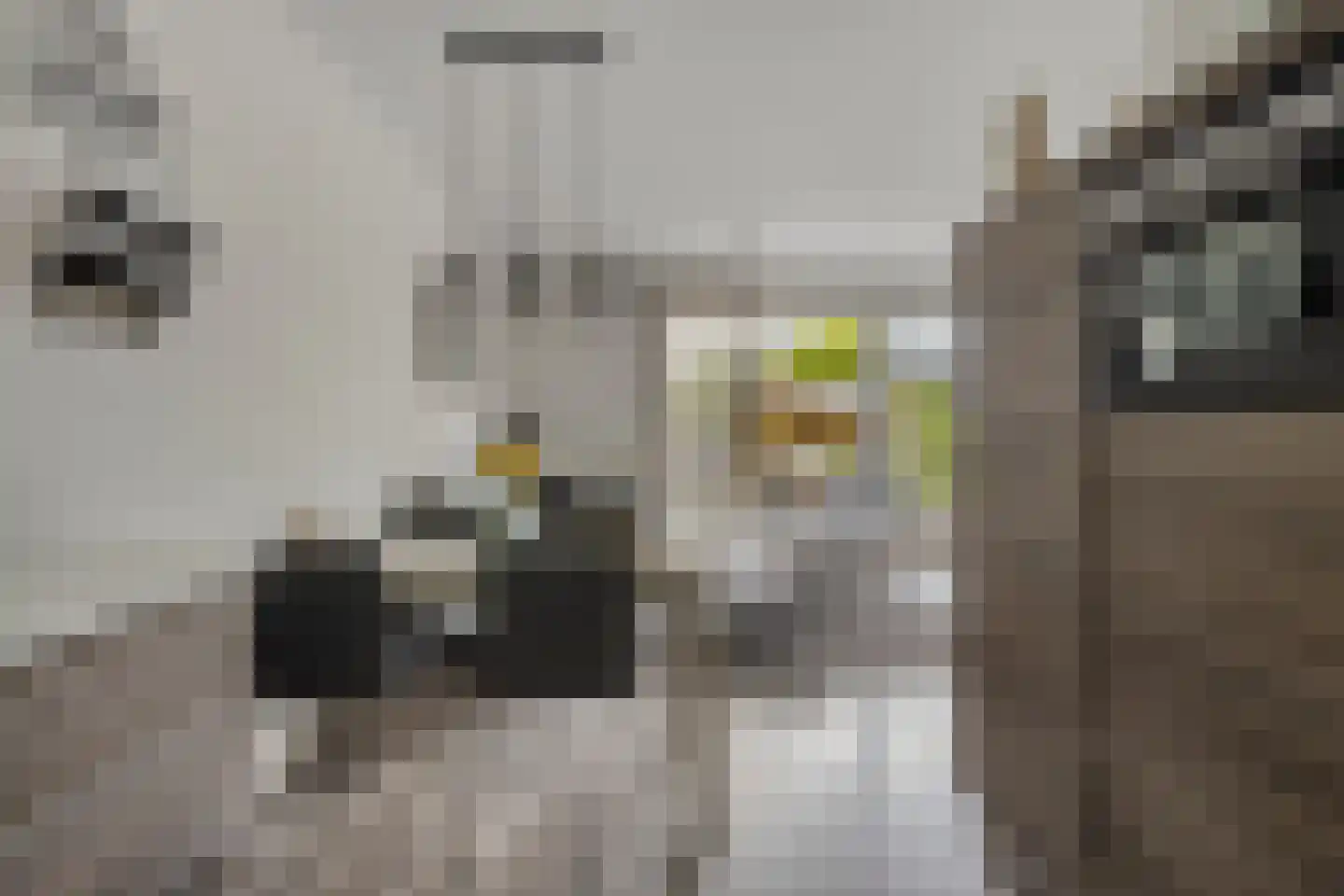Advocatenhof 5 Bosschenhoofd thumbnail 11
