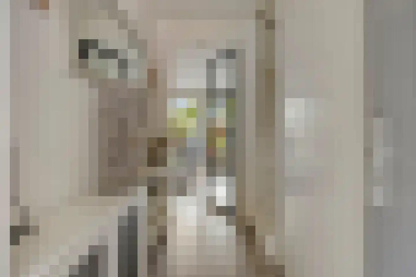 Advocatenhof 5 Bosschenhoofd thumbnail 13